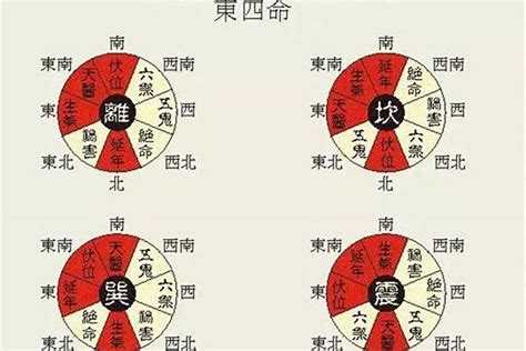 东四命|东四命西四命速查表 命卦对照表